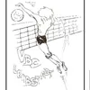 Club Logo VBC Leibstadt