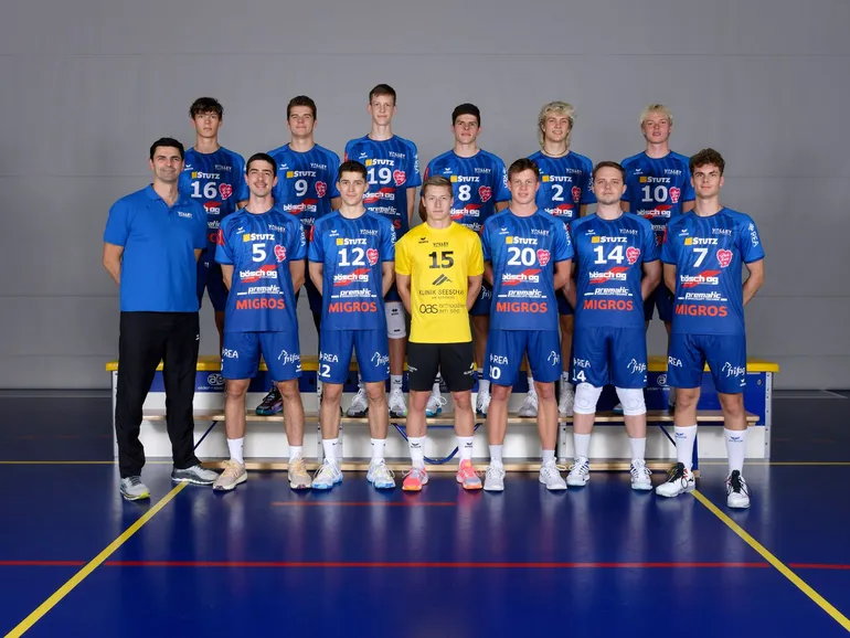 Volley Amriswil (NLB, M)