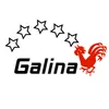 Club Logo VBC Galina 3