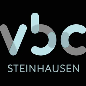 Club Logo VBC Steinhausen 3